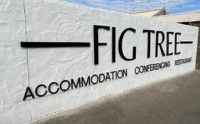 Fig Tree Guesthouse